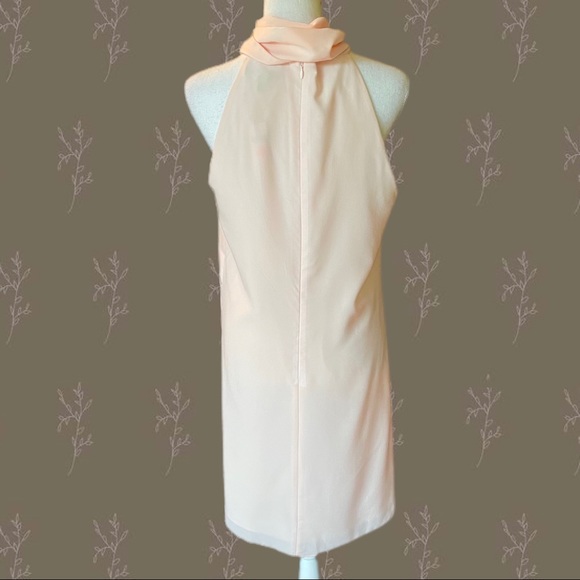 Banana Republic Tie Neck Sleeveless Shift Dress - Picture 7 of 10